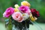 Как сохранить розы в вазе – любуемся любимыми цветами дольше