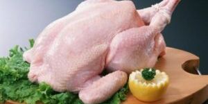 Полезные свойства мяса курицы