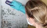 Как эффективно избавиться от грибка на стенах в квартире?