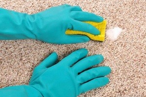 Как почистить ковер от запаха мочи в домашних условиях
