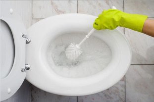 важность мытья ершика