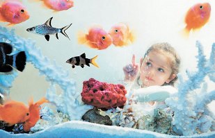 как чистить стенки аквариума